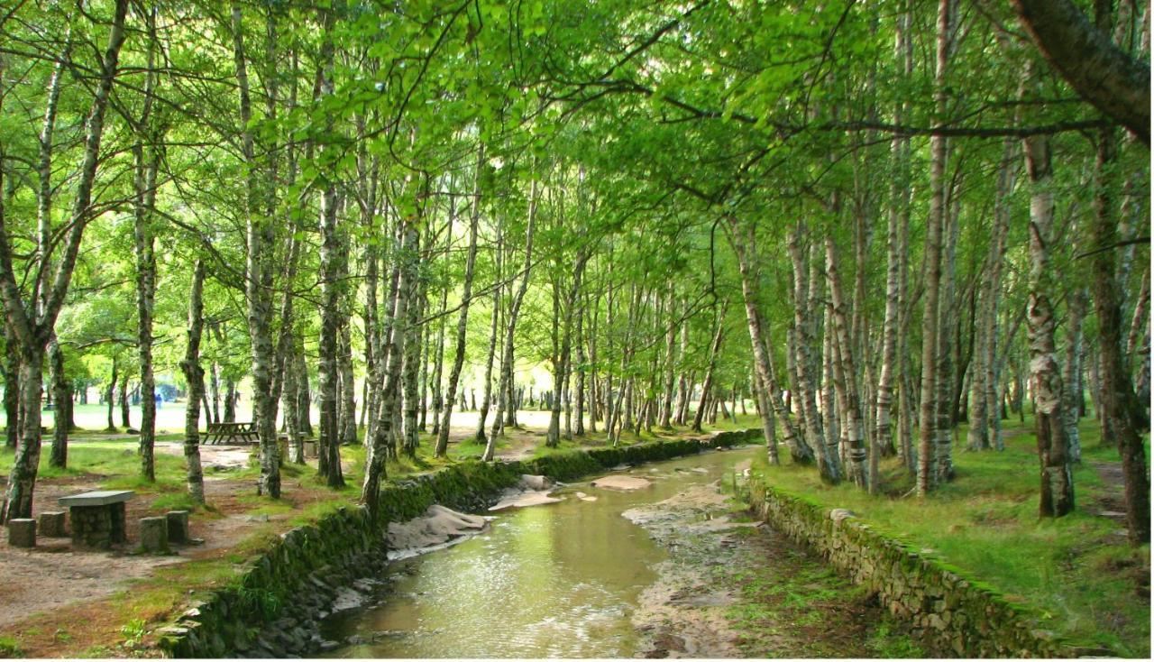 كوفيلهَ Mountain Cottage, Serra Da Estrela المظهر الخارجي الصورة